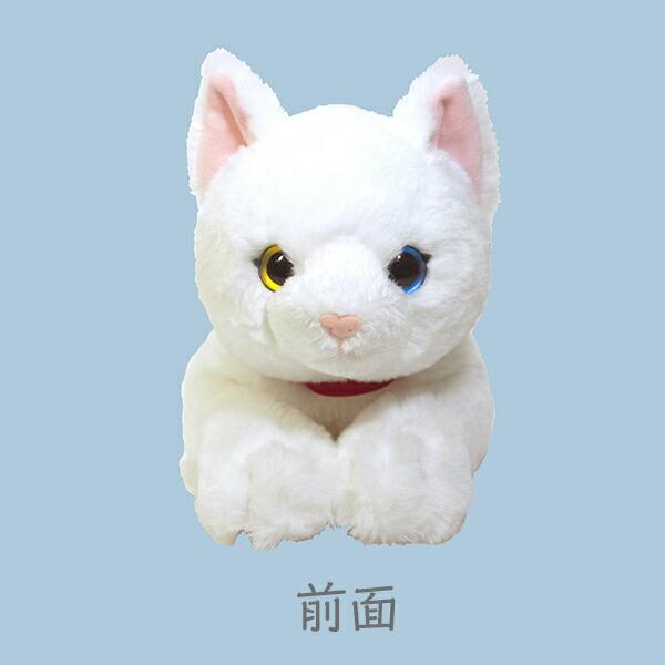 ひざねこ M オッドアイ WH ぬいぐるみ ペット用品 猫用品