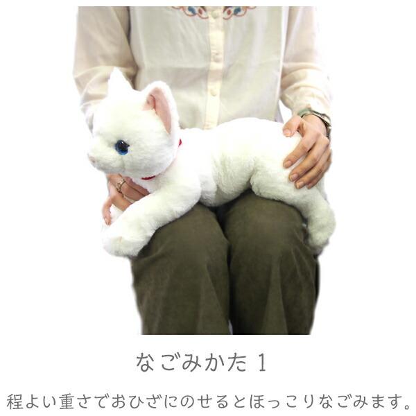 ひざねこ M オッドアイ WH ぬいぐるみ ペット用品 猫用品 オーナー