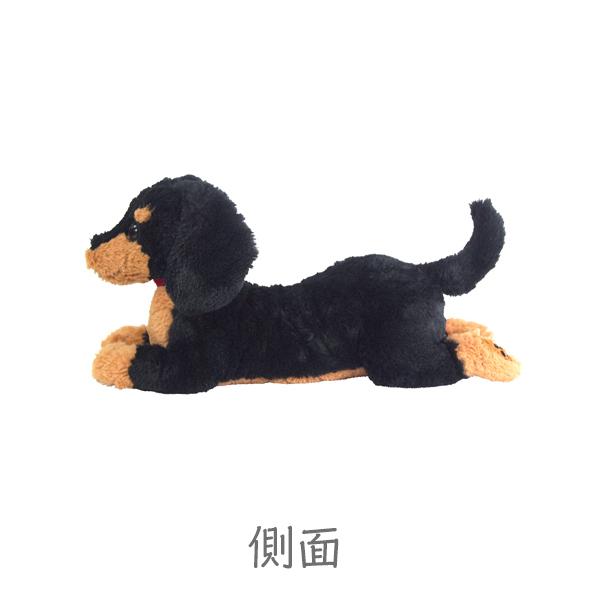ワンタメ ミニチュアダックス ぬいぐるみ Sサイズ ミニチュアダックスフンド（座） ぬいぐるみ Sサイズ ブラック