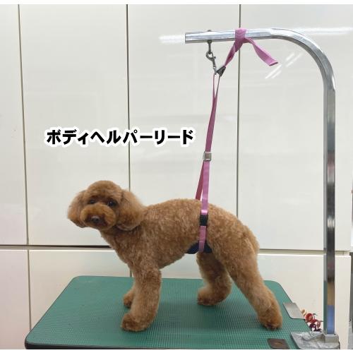 KINPEX 【ポスト投函】トリミング ボディヘルパーリード 犬用