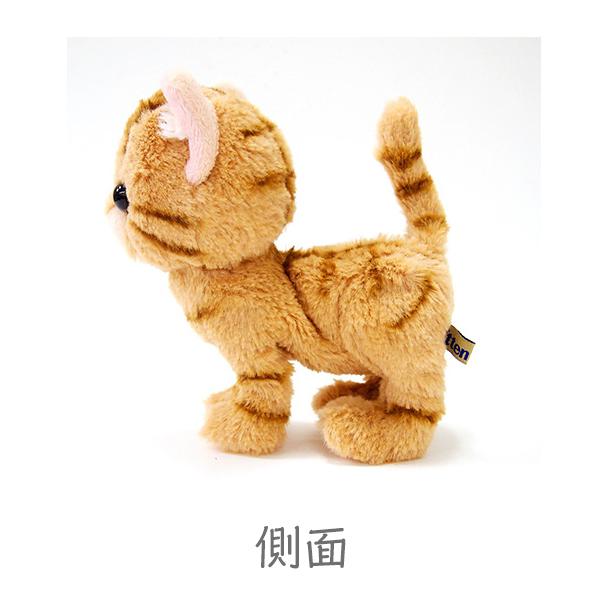 Kitten キトン アメリカンショートヘア BR ぬいぐるみ オーナーグッズ
