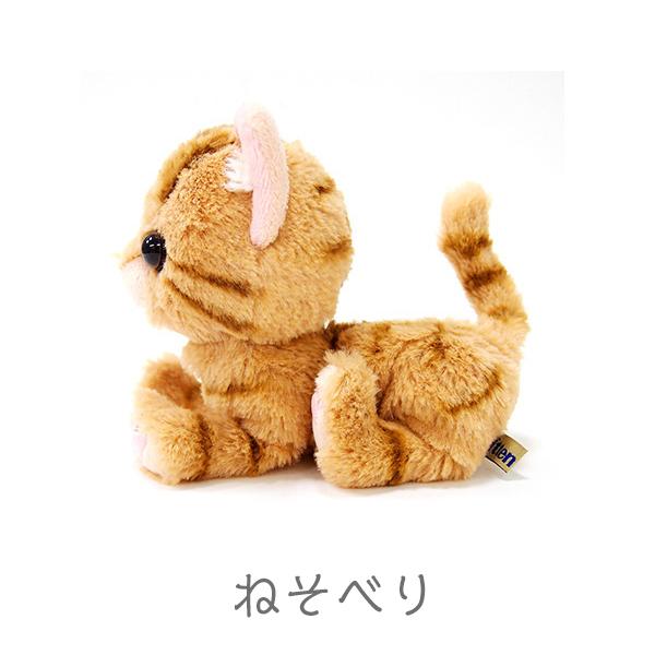 Kitten キトン アメリカンショートヘア BR ぬいぐるみ オーナーグッズ