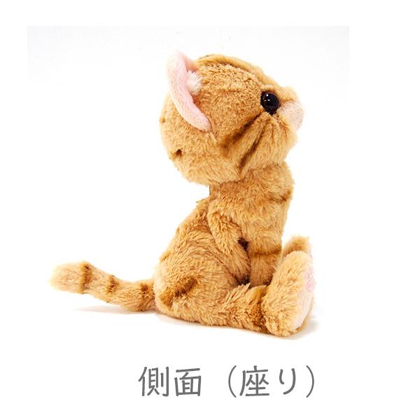 Kitten キトン アメリカンショートヘア BR ぬいぐるみ オーナーグッズ