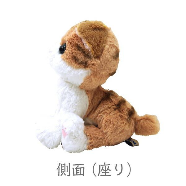 Kitten キトン スコティッシュフォールド BR ぬいぐるみ ペット用品 猫