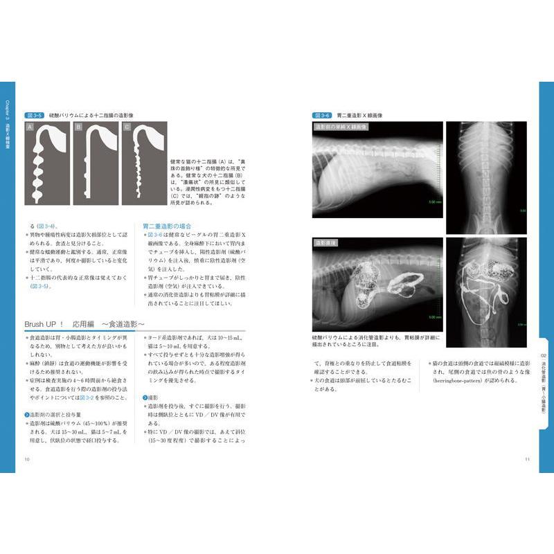 イチからはじめる犬と猫のX線検査 本 書籍 動物看護師 獣医師 犬 猫