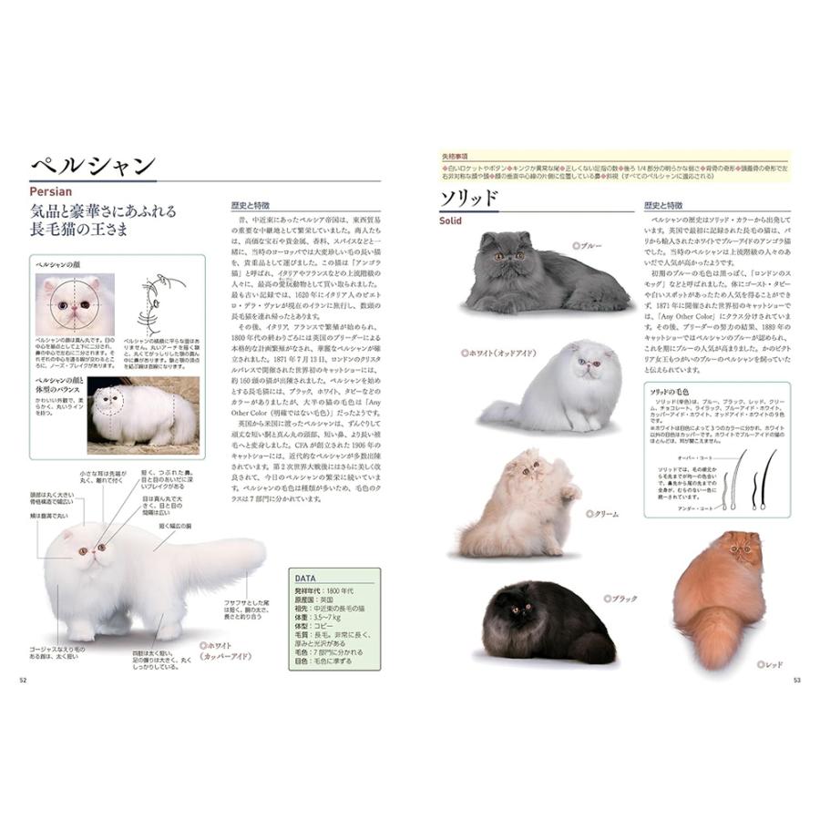 新しい猫の教科書 書籍 本 ペット 猫 図鑑01 : みんな笑顔 - 通販 