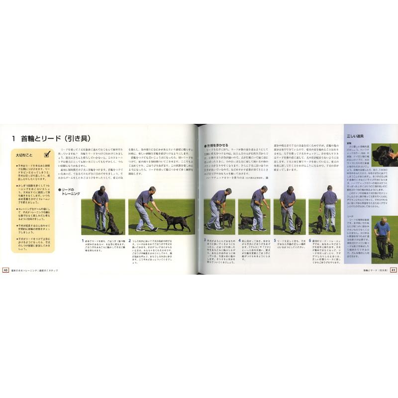 ドッグトレーニング 週末からはじめる完全ガイド md 本 書籍 ペット 犬