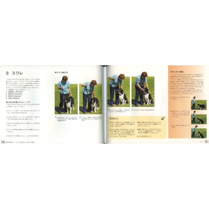 ドッグトレーニング 週末からはじめる完全ガイド md 本 書籍 ペット 犬