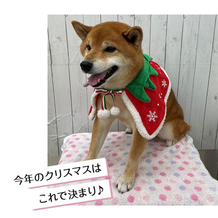 【ポスト投函】【F】リバーシブルケープ ハロウィン クリスマス 犬猫用　LLサイズ｜minnaegao｜13