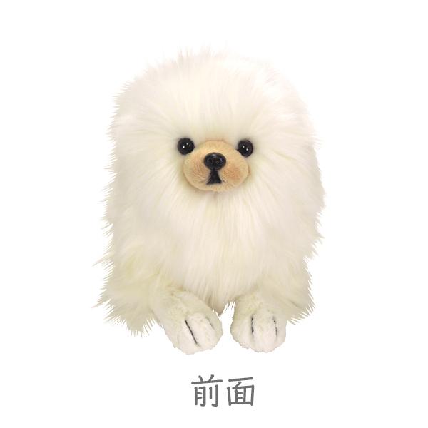 ひざわんこ S ポメラニアンCR ぬいぐるみ 犬 オーナーグッズ : みんな