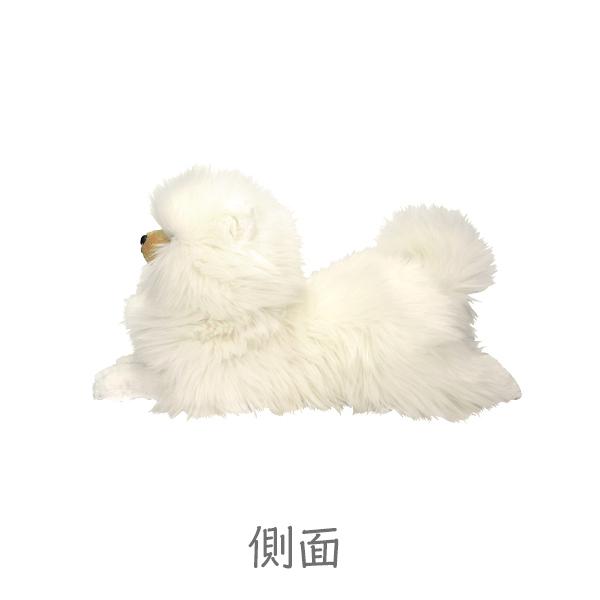 ひざわんこ S ポメラニアンCR ぬいぐるみ 犬 オーナーグッズ : みんな