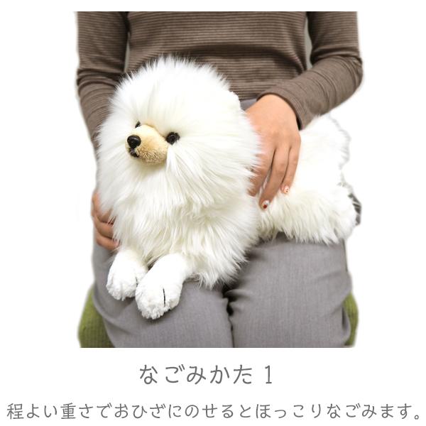 ひざわんこ S ポメラニアンCR ぬいぐるみ 犬 オーナーグッズ : みんな