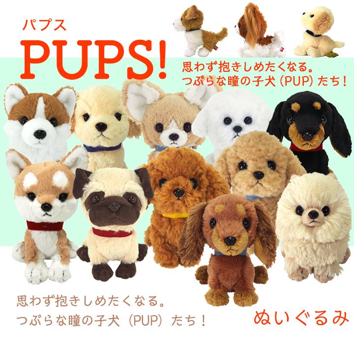 犬雑貨・オーナーズグッズ erina パプス PUPS S ビションフリーゼ ぬいぐるみ 犬 オーナーグッズ