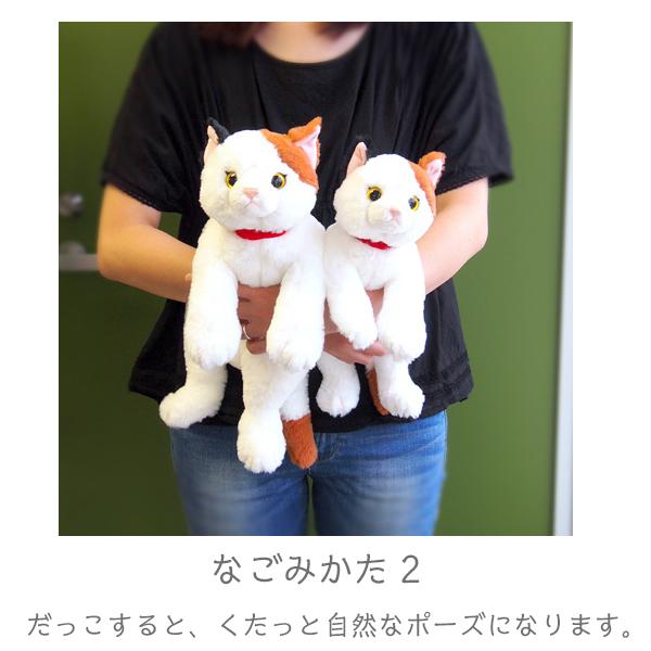 さてさん　猫のぬいぐるみ Amazon.co.jp: マザーガーデン さわって猫ちゃん 三毛猫