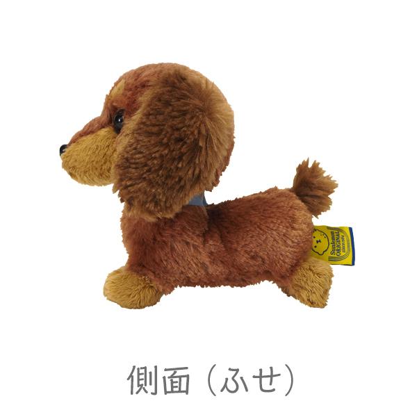 PUPS パプス S ミニチュアダックス BR ブラウン ぬいぐるみ オーナー