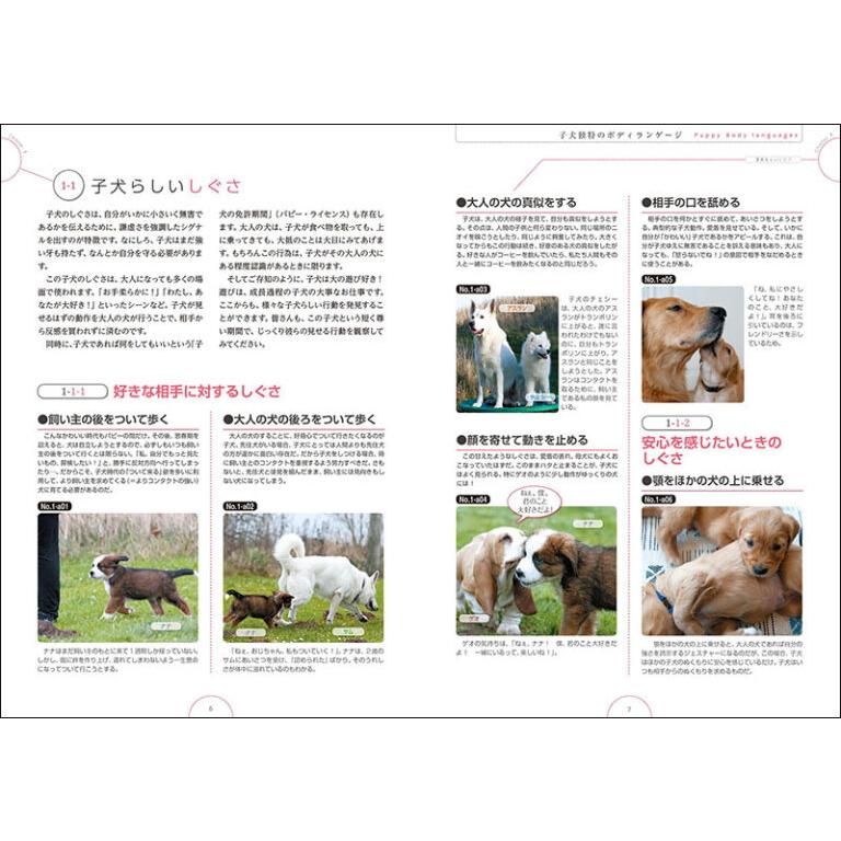 誠文堂新光社 ドッグ・トレーナーに必要な子犬レッスンテクニック 犬の