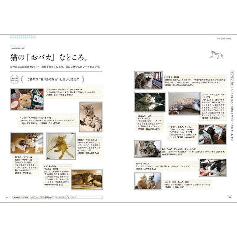 【ポスト投函】みんなの猫式生活 全国アンケート! リアルな猫暮らし、覗いてみました sb 書籍 本 ペット 猫｜minnaegao｜04