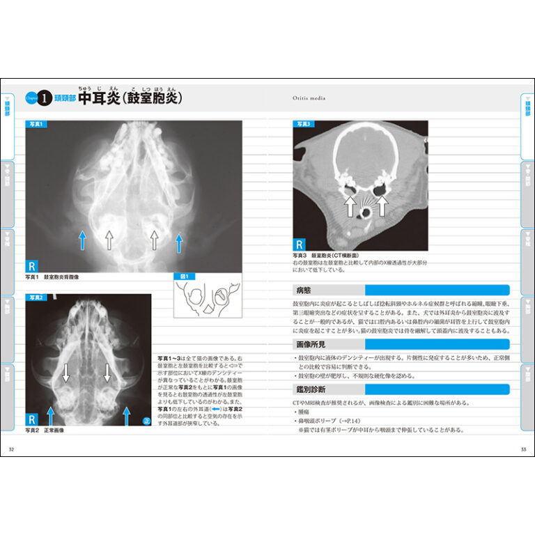 【ポスト投函】正常画像と比べてわかる犬猫画像診断 sb　本 書籍　ペット 犬 猫 獣医師 動物看護師 症状 画像 詳しい レントゲン 映像｜minnaegao｜02