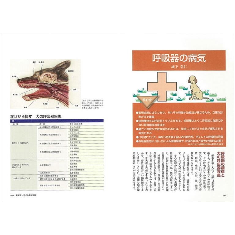 誠文堂新光社 最新版 愛犬の病気百科 sb 本 書籍 ペット 犬 : みんな