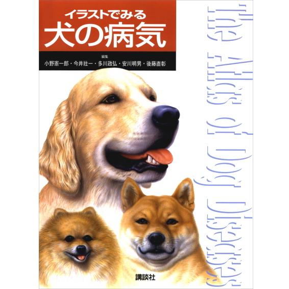 講談社（kodansha） イラストでみる犬の病気 オールカラーの写真と