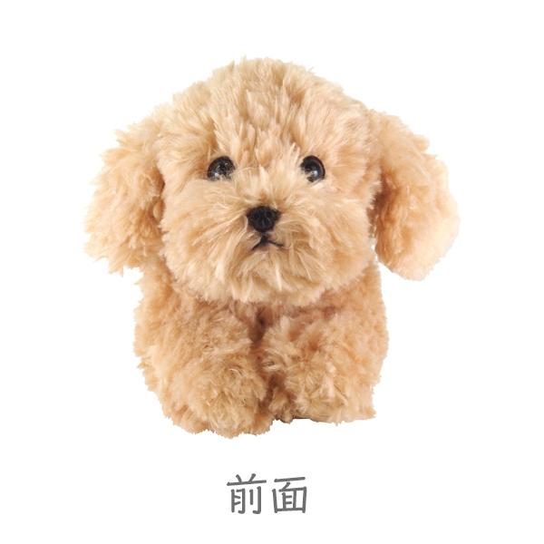 ひざわんこ S ぬいぐるみ トイプードルbe ペット用品 犬用品 オーナーグッズ Toypoodle Be みんな笑顔 通販 Yahoo ショッピング