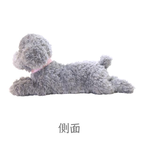 ひざわんこ S トイプードルGY ぬいぐるみ 犬 オーナーグッズ : みんな