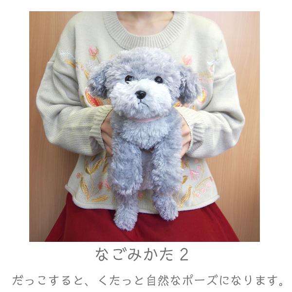 ひざわんこ S トイプードルGY ぬいぐるみ 犬 オーナーグッズ : みんな