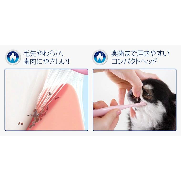 VET'S DOCTOR SPEC LION PETKISS ベッツドクタースペック デンタル