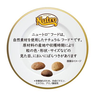WILD RECIPE 【賞味期限2026.6.30】4kg ニュートロ ワイルドレシピ 超