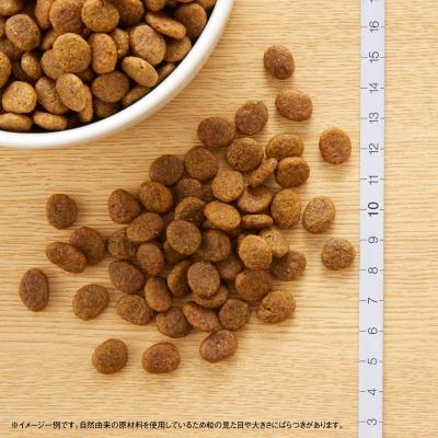 WILD RECIPE 2kg ニュートロ ワイルドレシピ 超小型犬〜小型犬用 成犬