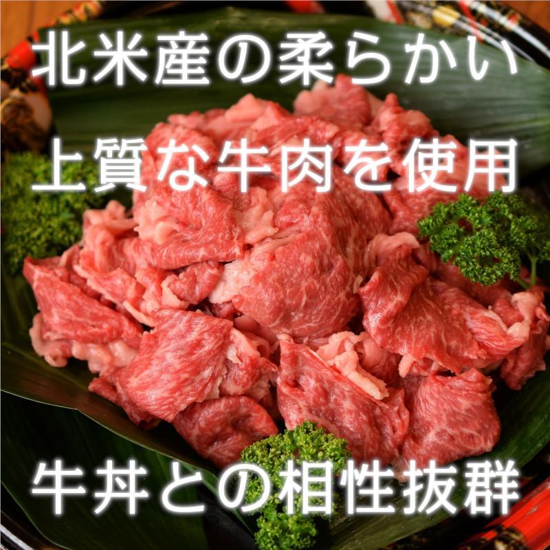 肉 牛肉 牛丼 牛丼の具 冷凍食品 冷凍弁当 10食セット 冷凍 おかず 牛丼レトルト 丼の具 贈り物 牛丼の素DX 日東ベスト 185g｜minnanoosechi｜03