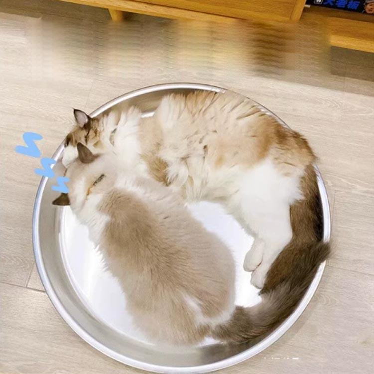 ひんやり クール猫鍋 猫用 ねこ鍋 アルミ製 冷感 夏用 猫鍋 たらい 暑