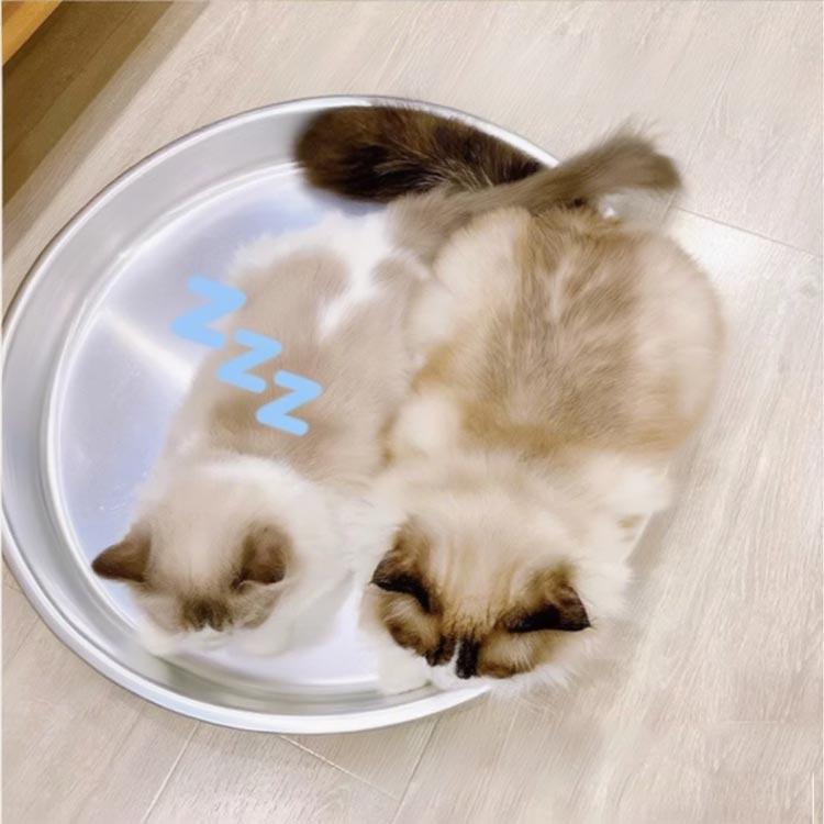 ひんやり クール猫鍋 猫用 ねこ鍋 アルミ製 冷感 夏用 猫鍋 たらい 暑