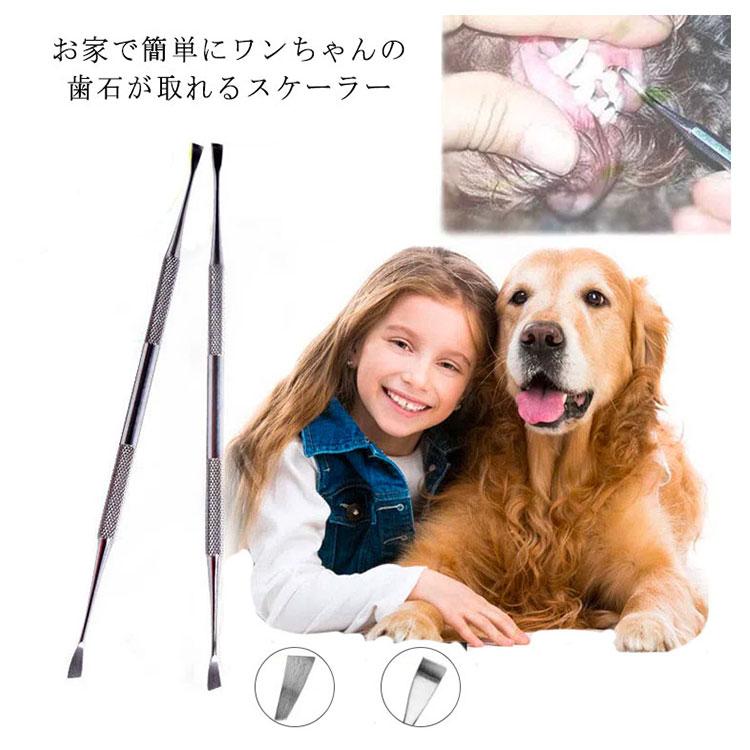 【送料無料】ペット用 歯石取り スケーラー 犬用 猫用 両頭タイプ デンタルケア 歯石取り 歯垢 歯石除去用品 ハミガキ スケラー 歯石取り トリミン｜minoaka｜06