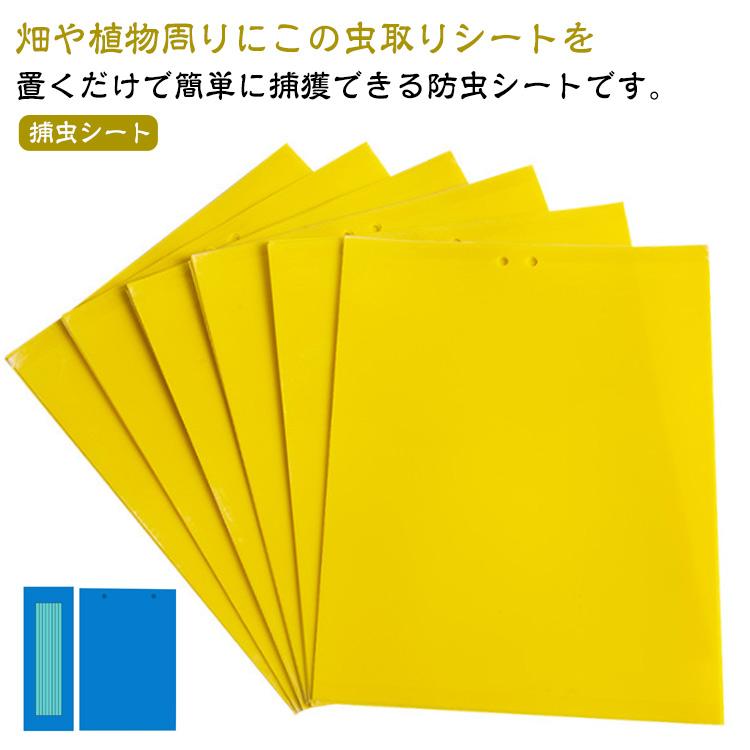 【50枚セット】 虫よけ 粘着シート ハエ取り紙 コバエ取り 粘着トラップ 粘着マット コバエ 虫取りシート 捕虫シート 害虫捕獲粘着紙 両面粘着紙（Yahoo!・minoakaYahoo!店）