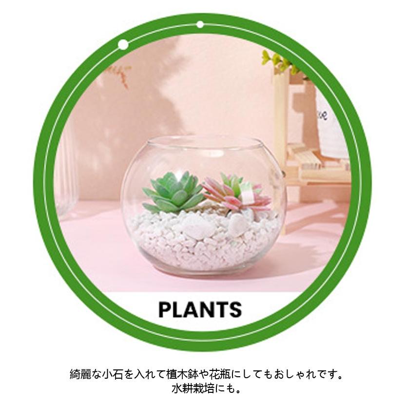 備前焼 メダカ鉢 大型花器 花生 水瓶 水甕 水槽 花瓶 花入 フラワーベース 金魚鉢 花瓶 フラワーベース 丸型金魚鉢 水槽 小型水槽 飼育水槽 ミニ