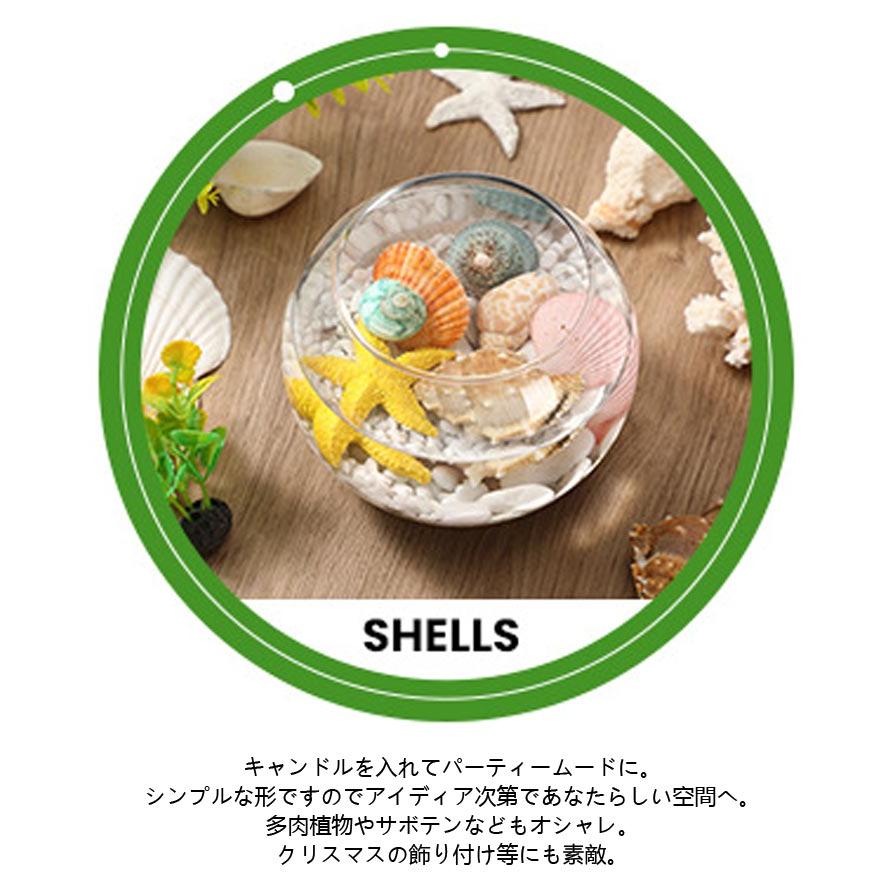 金魚鉢 花瓶 フラワーベース 丸型金魚鉢 水槽 小型水槽 飼育水槽 ミニ