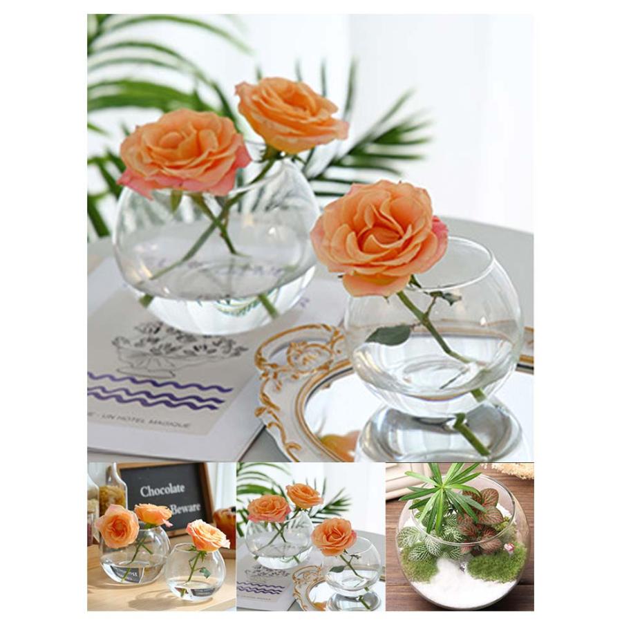 金魚鉢 花瓶 フラワーベース 丸型金魚鉢 水槽 小型水槽 飼育水槽 ミニ