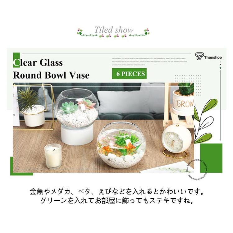 金魚鉢 花瓶 フラワーベース 丸型金魚鉢 水槽 小型水槽 飼育水槽 ミニ