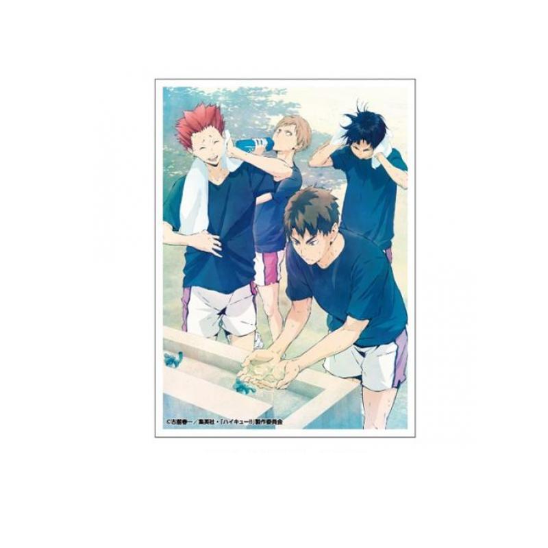 エンスカイ アニメ ハイキュー!! キャラクタースリーブ 67×92mm 若葉風
