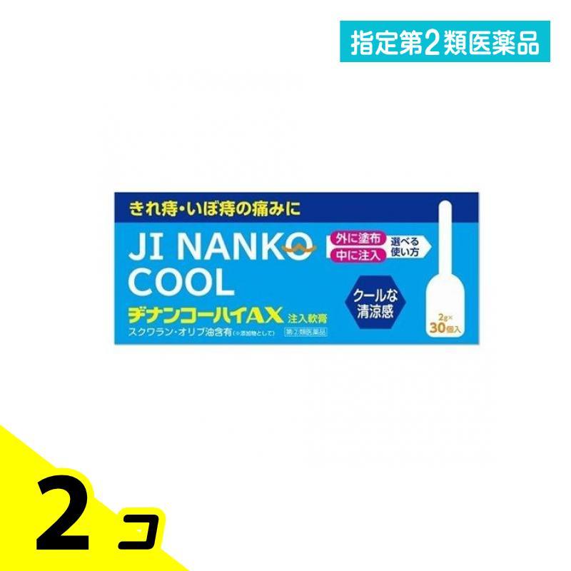 指定第２類医薬品 ヂナンコーハイAX 注入軟膏 2g× 30個入 2個セット | 