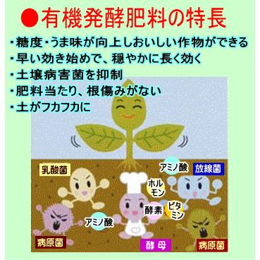 こだわり派の発酵肥料 お試し プランター栽培用 熟成みのりボカシ 0g入 有機 ぼかし肥料 バラ 野菜 米ぬか 魚粉 油かす 骨粉 3袋以上宅配 Mb01 みのり農産企画ヤフーショップ 通販 Yahoo ショッピング