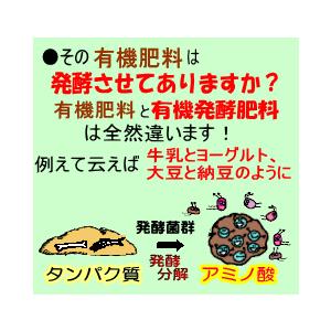 こだわり派の発酵肥料　熟成みのりボカシ肥料 4.3kg入 ２袋セット/有機肥料 ぼかし肥料 バラ ばら 野菜 米ぬか 魚粉 油かす 骨粉｜minori-nosan｜04