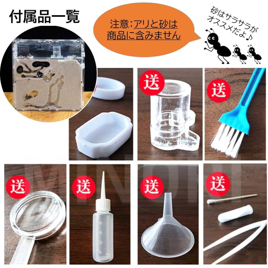 アリの巣 観察キット (砂は別売) 蟻 アリ飼育キット アリ飼育 アリの巣 観察キット (砂は別売) 蟻 アリ飼育キット アリ飼育