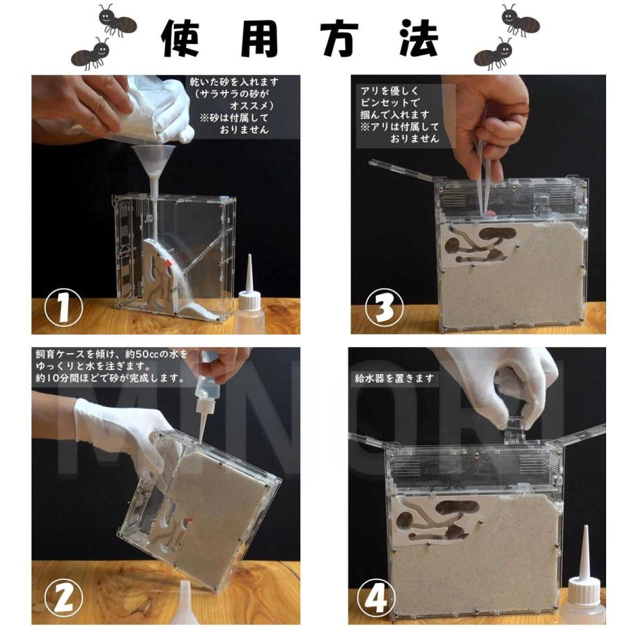 アリの巣 観察キット (砂は別売) 蟻 アリ飼育キット アリ飼育 アリの巣 観察キット (砂は別売) 蟻 アリ飼育キット アリ飼育