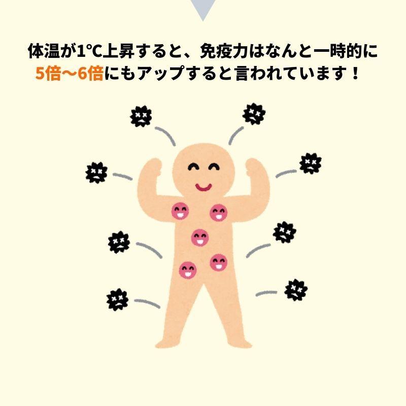 【新入荷】 温熱マットMINORI 【PET2580454556】(92235円)