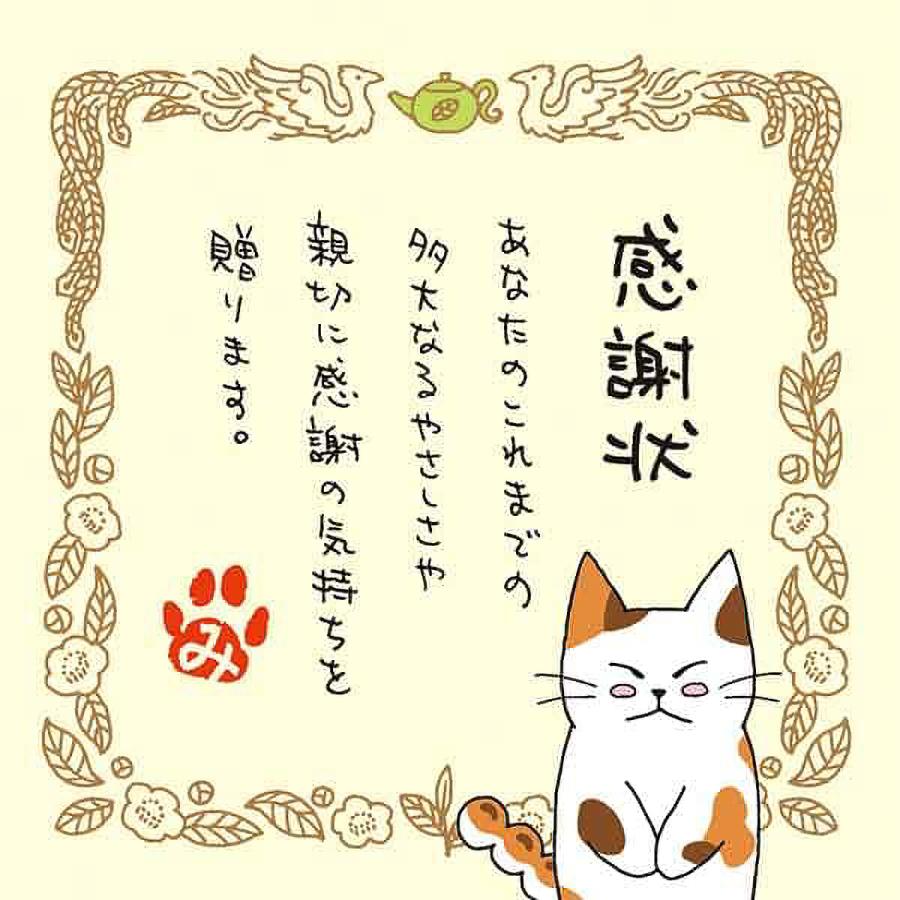 ねこた（感謝）/3 ねこ茶 抹茶入り玄米茶 ティーバッグ（3包）母の日 ギフト「感謝状