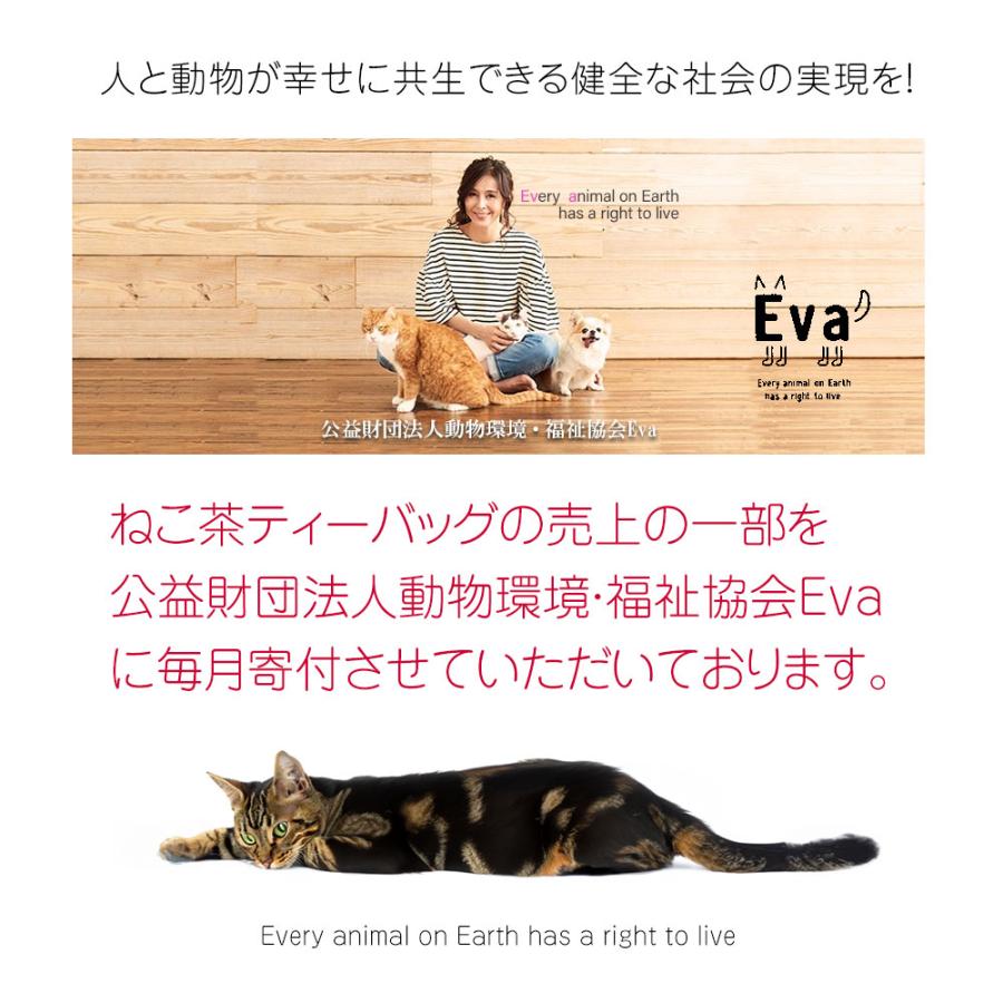 茶猫 ソーラーランプを右手で持ち上げる茶トラ猫｜WooBia公式オンライン