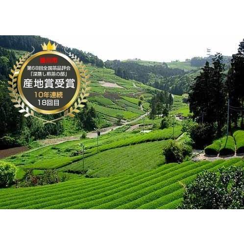 深蒸し茶 1000（3袋セット）掛川茶 日本茶 煎茶 緑茶 静岡 掛川産