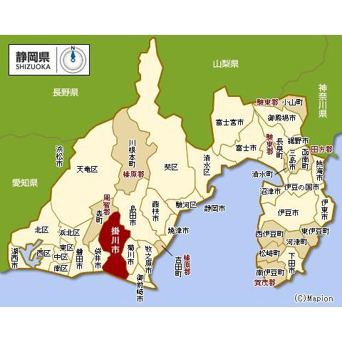 深蒸し茶 1000 掛川茶 日本茶 煎茶 緑茶 静岡 掛川産 ためしてガッテン |  | 04